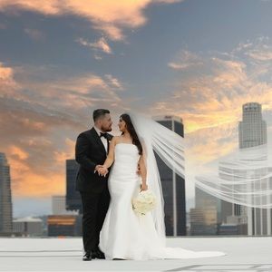 Pronovias DAY Wedding Dress